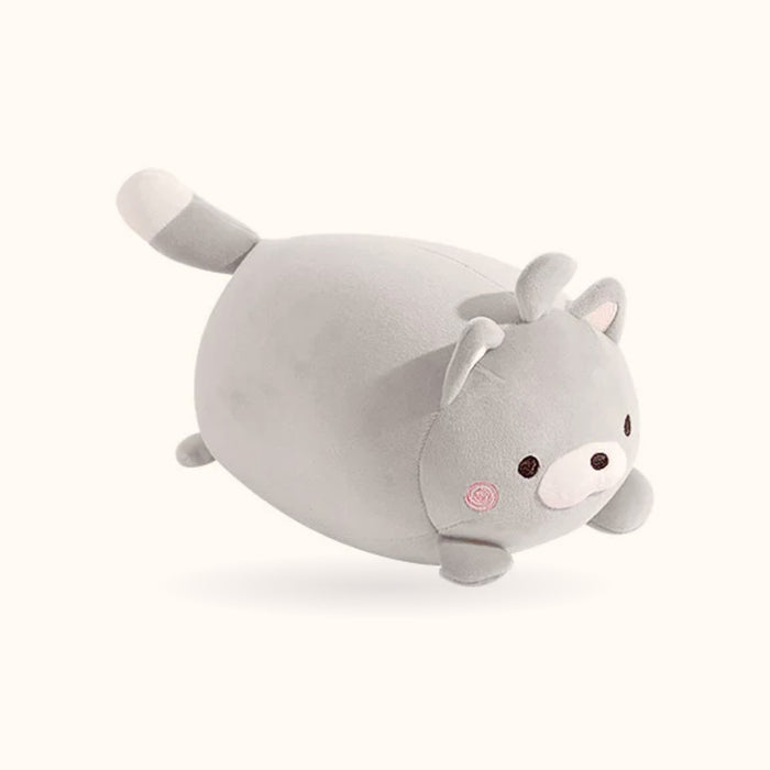 The Travel Buddy: Pebble the Cat